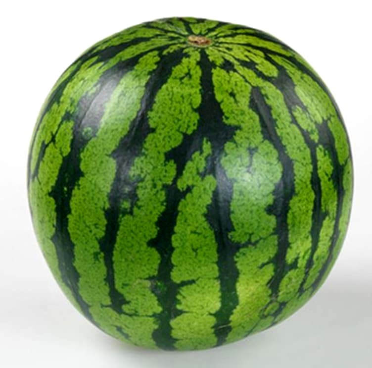 Vannmelon